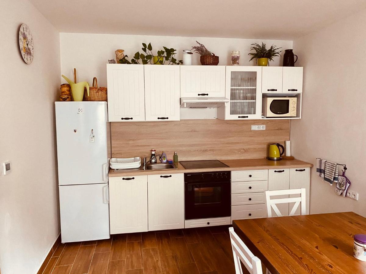 Apartman Pod Bozim Darem Jachymov Bagian luar foto