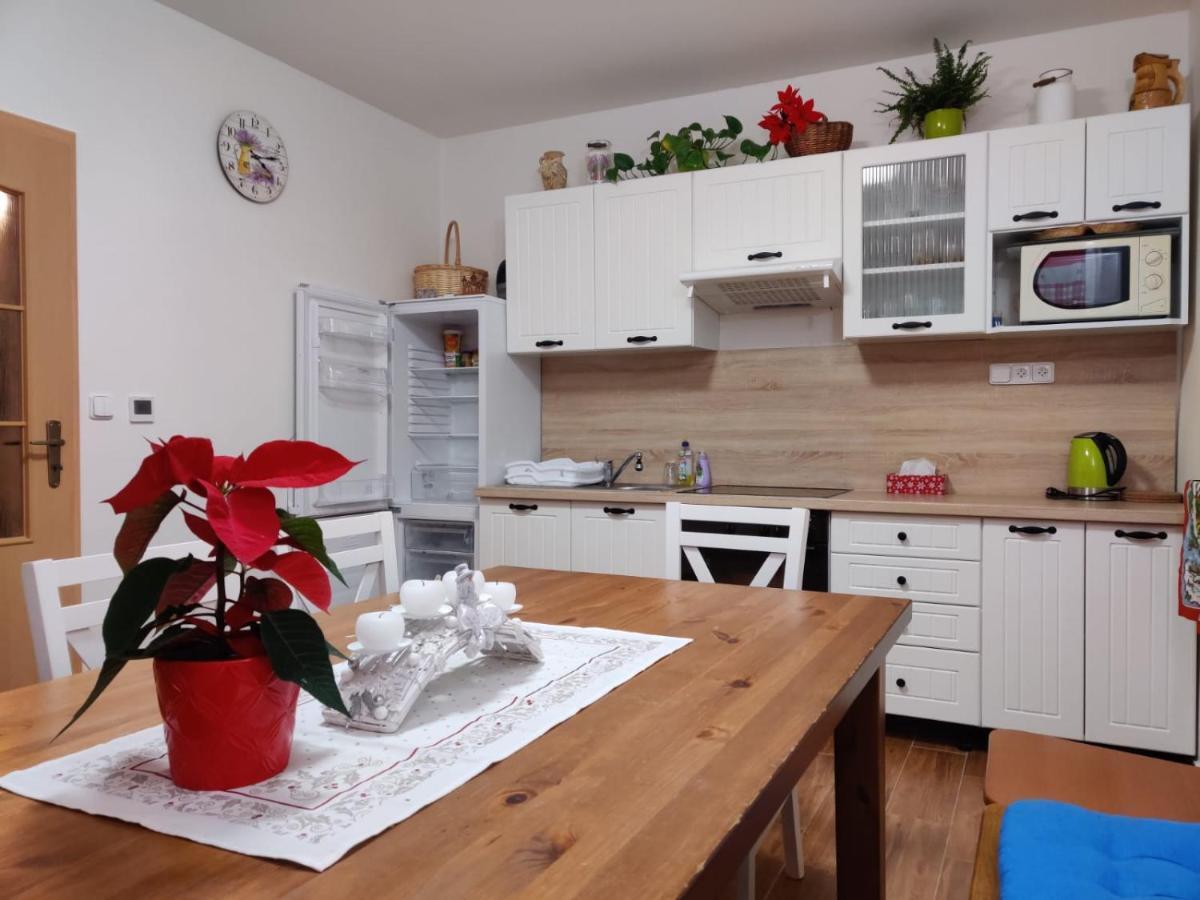 Apartman Pod Bozim Darem Jachymov Bagian luar foto